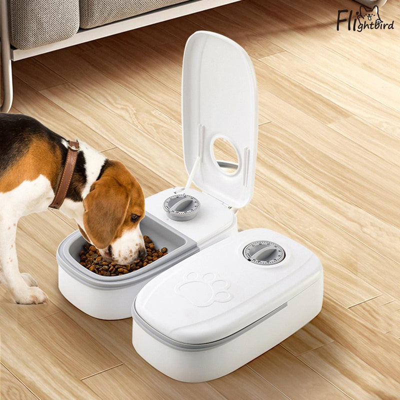 Dispenser de Comida Automático Inteligente | Para Cães e Gatos - Best Opções
