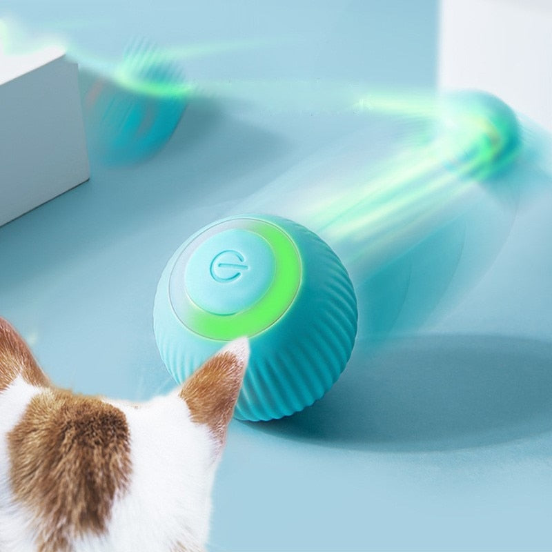 Bola Inteligente para Pet - Smart Ball™ - Best Opções