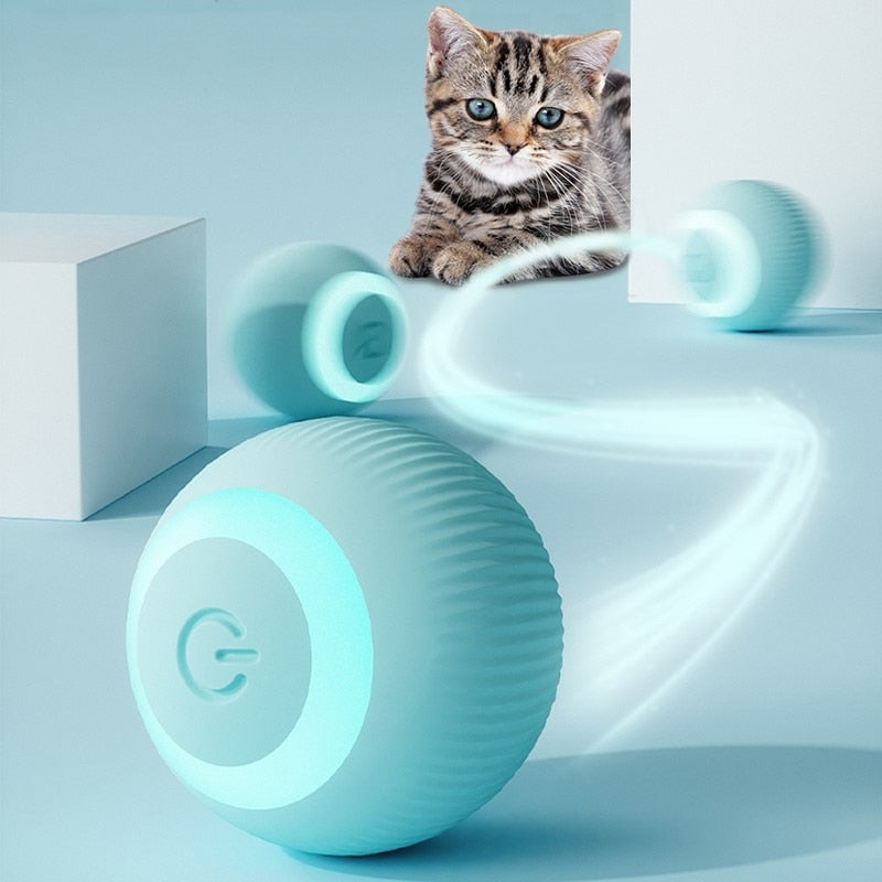 Bola Inteligente para Pet - Smart Ball™ - Best Opções